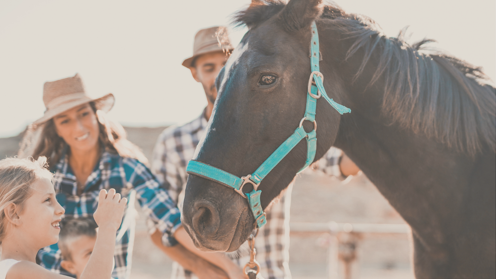 luxury rvers happy family enjoy day outdoor at horse ranch